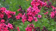IMG_9823 копия