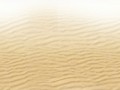 sand++