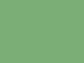Бледно-зеленый