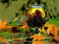 -ЛИСТОПАД,И-БЕЛУЮ-МЕТЕЛЬ(о-жизни-1)-1_01
