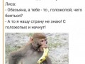 71b642b53c5010bf7574add27fdc95e3