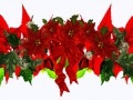 Der-Weihnachtsstern girlande