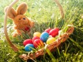 Holidays_Easter_Rabbits_Grass_Wicker_basket_Eggs_543972_1280x853