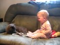 Кот и ребенок играют