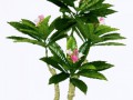{22CF3BA9-FDA4-DC08-FF67-A464E98425D3}