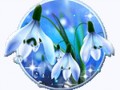 imagen-snowdrops-blue-live-wallpaper-0big
