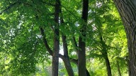 20260623_144557 копия