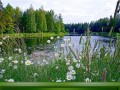 -имени-1as_01