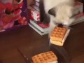 стырил и ушел,называется - нашел