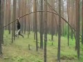 Древесный прыгун