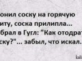 9309f0dc9be5b51cd04621b6bc33523a