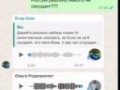 В московской гимназии родители поругались в родительском чате