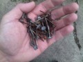 handful-of-nails
