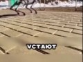 Роботы солдаты