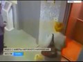 Elevator Trapped Dog Saved By Russian Man (CAUGHT ON TAPE)