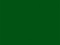 Глубокий желтовато-зеленый	#00541F