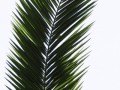 0_103bee_5382037d_orig