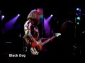 Led Zeppelin - Black Dog (Live Video)