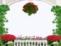 1  арки с бал зел роз