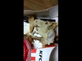 Mother Finds Maggots in Child's KFC Chicken