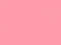 Лососевый Крайола	#FF9BAA	255	155	170