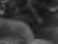 13608332