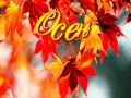 OSEN-I-LISTVA
