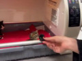Tiny cutie