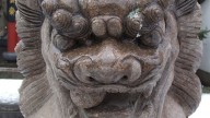 China_lion_face