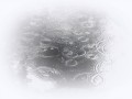 compressed-tftn