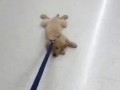 на работу