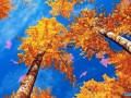 Осенний листопад