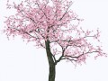 c56ea348ce5a9d07d1991dea394da748-min-min
