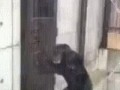 хочешь в туалет, а там уже занято