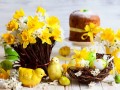 Easter_Daffodils_480384