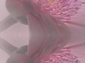 1_3_6