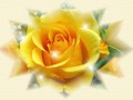 fon_3_1_arnusha