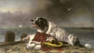 Landseer_Saved