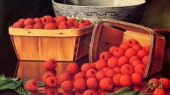 Уэллс Прентис – Корзины с малиной