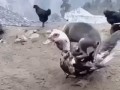 наконец-то нашёл удобное место, чтобы поспать