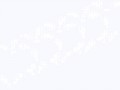 0c8