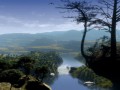 Screenshot_21