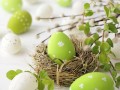 Easter_Eggs_Nest_480692