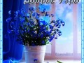 ДОБРОЕ УТРО