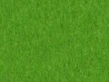 grass_field2_middle
