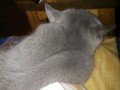 2013-07-11 20.51.42