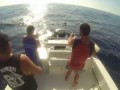 Black Marlin jumps in boat shimano stella Teamonline The Mad Huey's