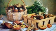 Вячеслав. Дары леса. 2011