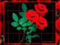 Коллаж + Анимация от tane4ki 777"Коллаж Red Rose"