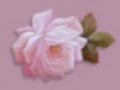 fon_5_3_arnusha